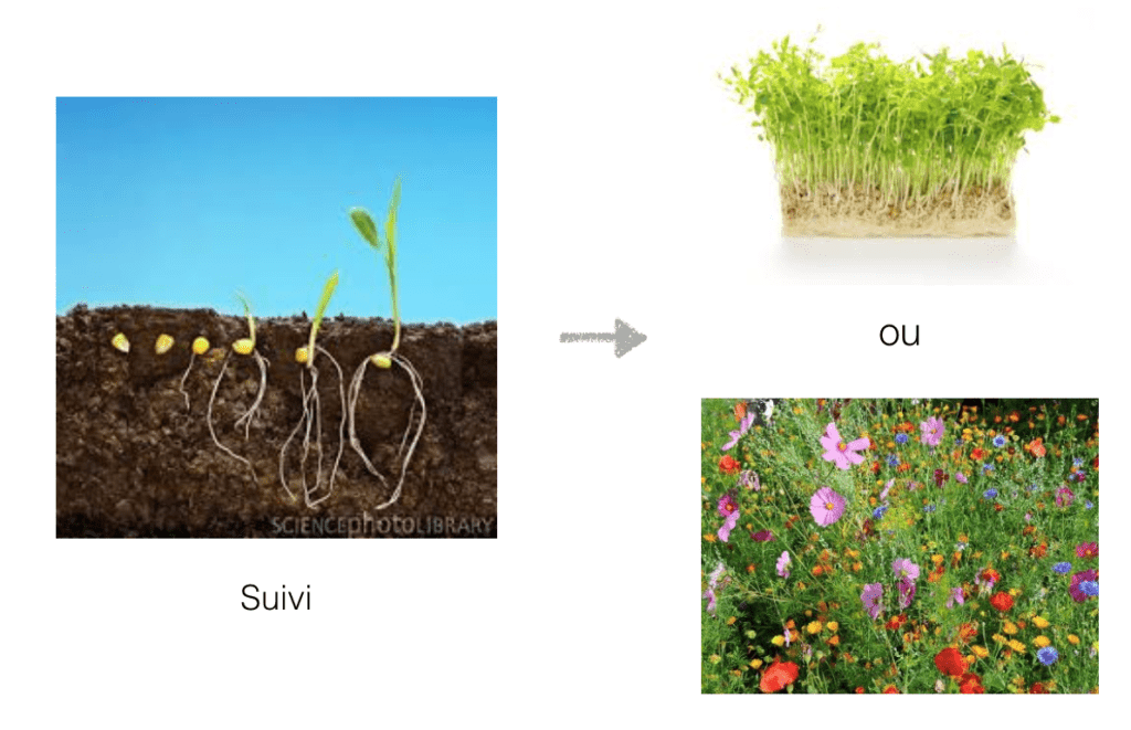 évaluation d'impact