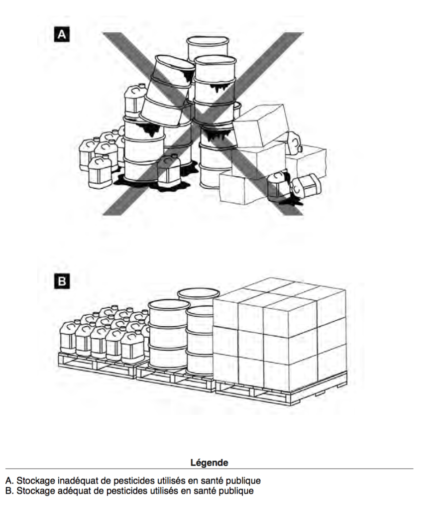 Guidelines MSF exemple d'illustration