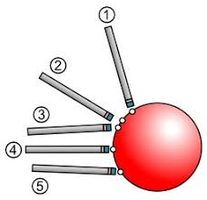 Bille de billard : anticiper la trajectoire