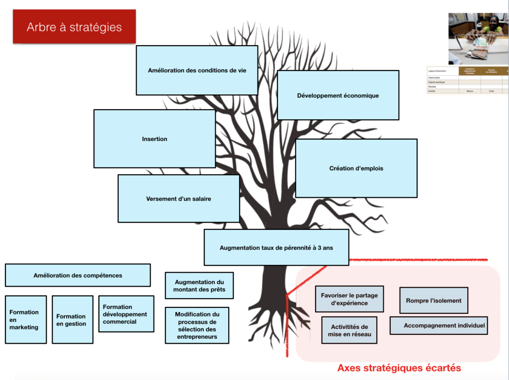 Arbre à stratégie : microfinance augmentation du taux de pérennité à 3 ans