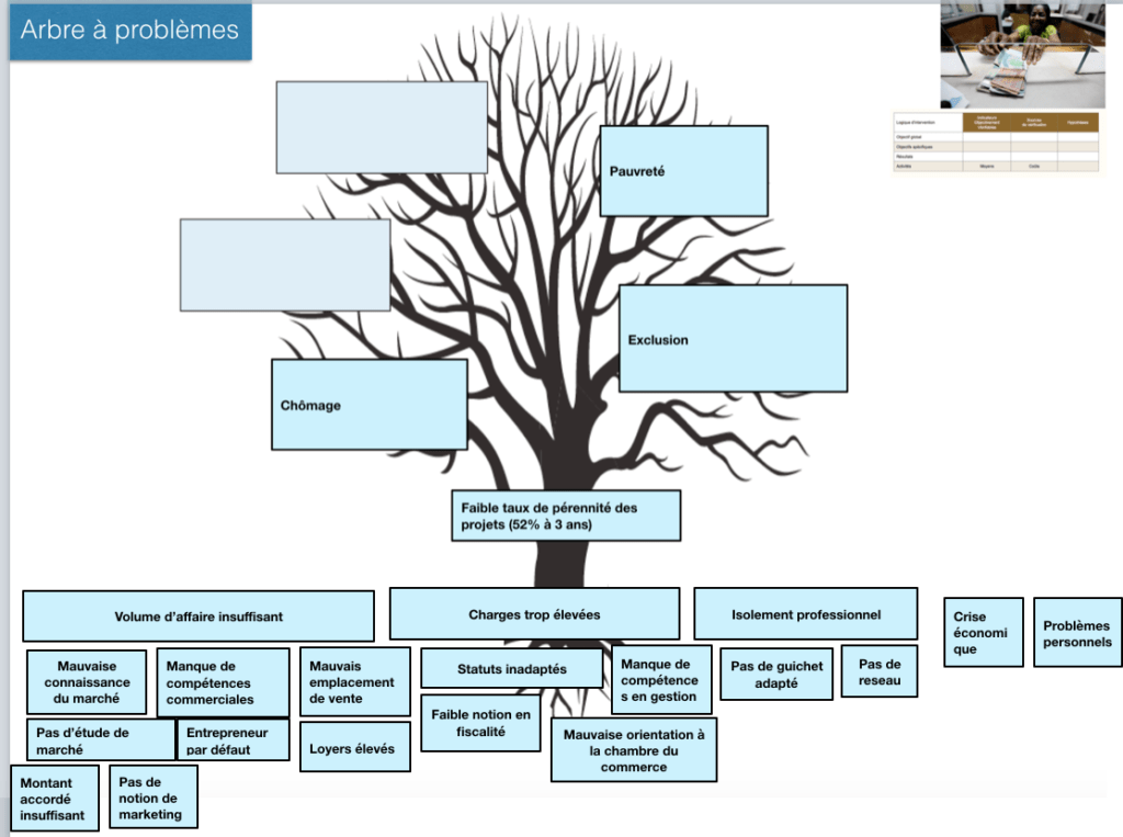 Exemple arbre à problème microfinance : les racines