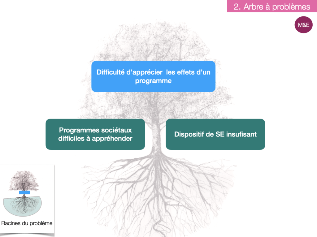 exemple arbre à problème - programme de développement - sélection du problème