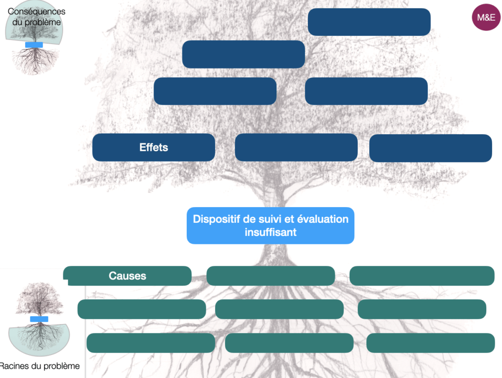 exemple d'arbre à problème - programme de développement - dispositif de suivi évaluation insuffisant