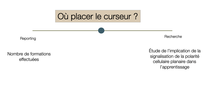 Où placer le curseur ?
Reporting basique : nombre de formation effectuées
Recherche : étude de l'implication de la signalisation de la polarité cellulaire planaire dans l'apprentissage